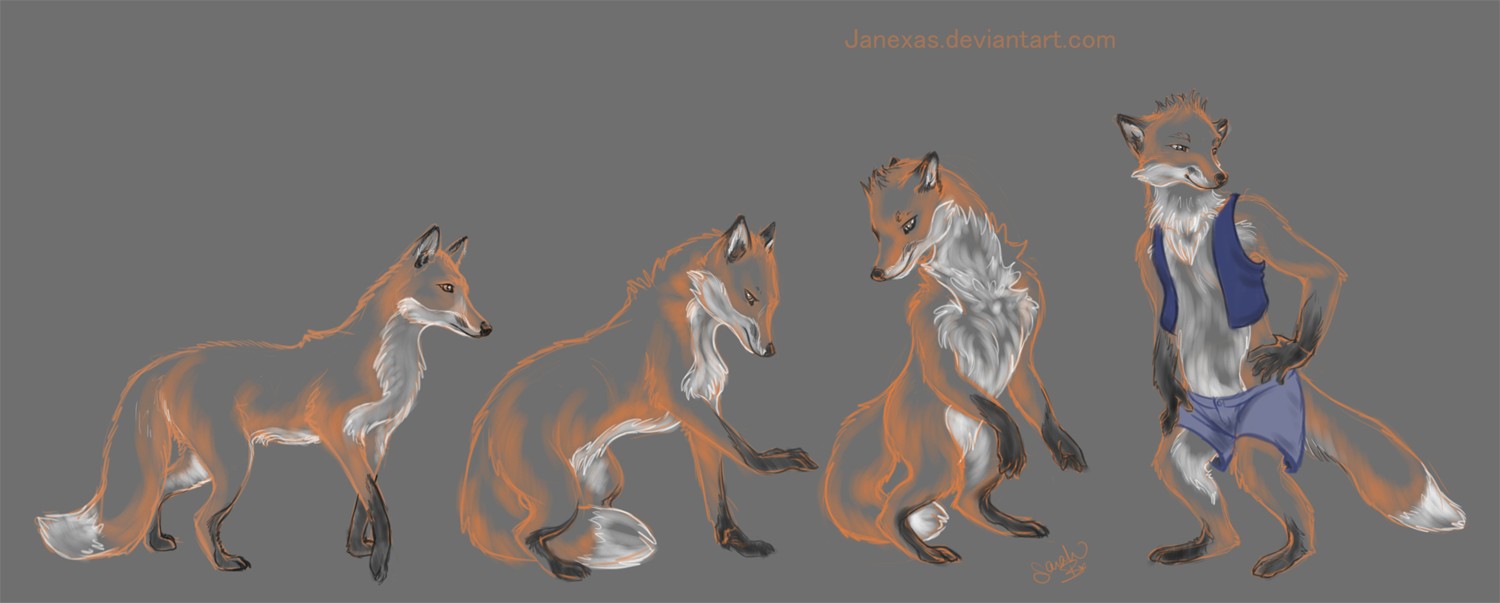 4 Stage Stream Commission by Janexas