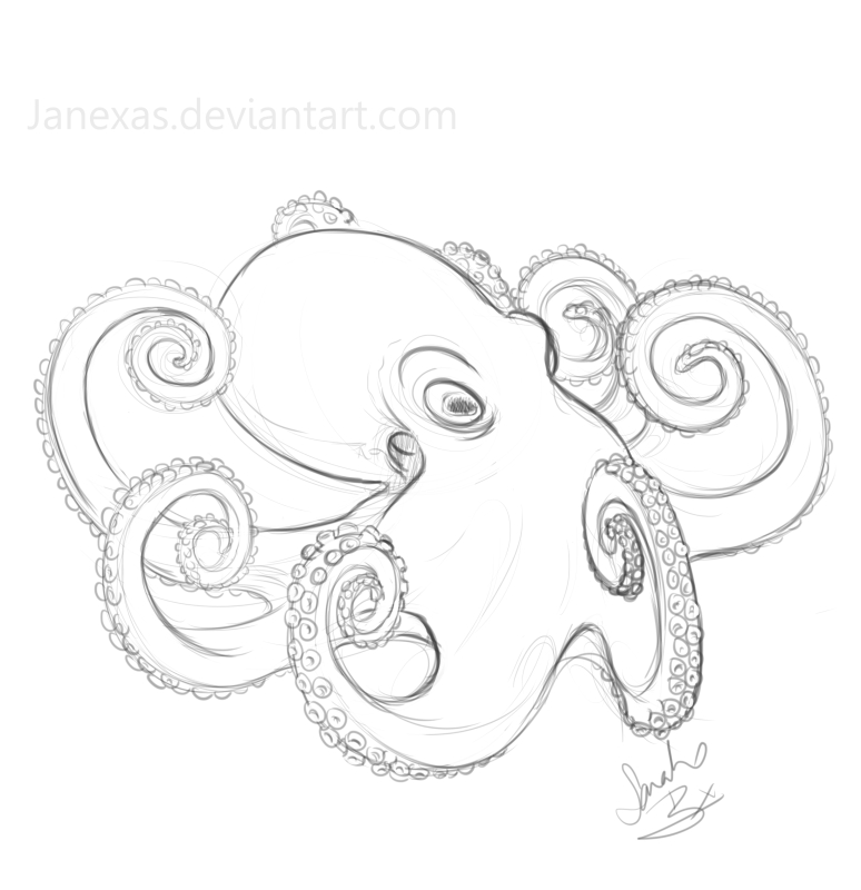 5 Stage Octopus Commission by Janexas