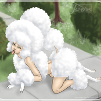 Sequence Image 7
