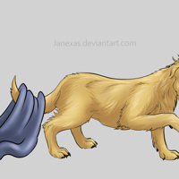 Sequence Image 9