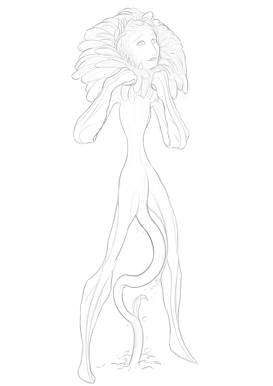 Aster Flower TF by KrazyIvan