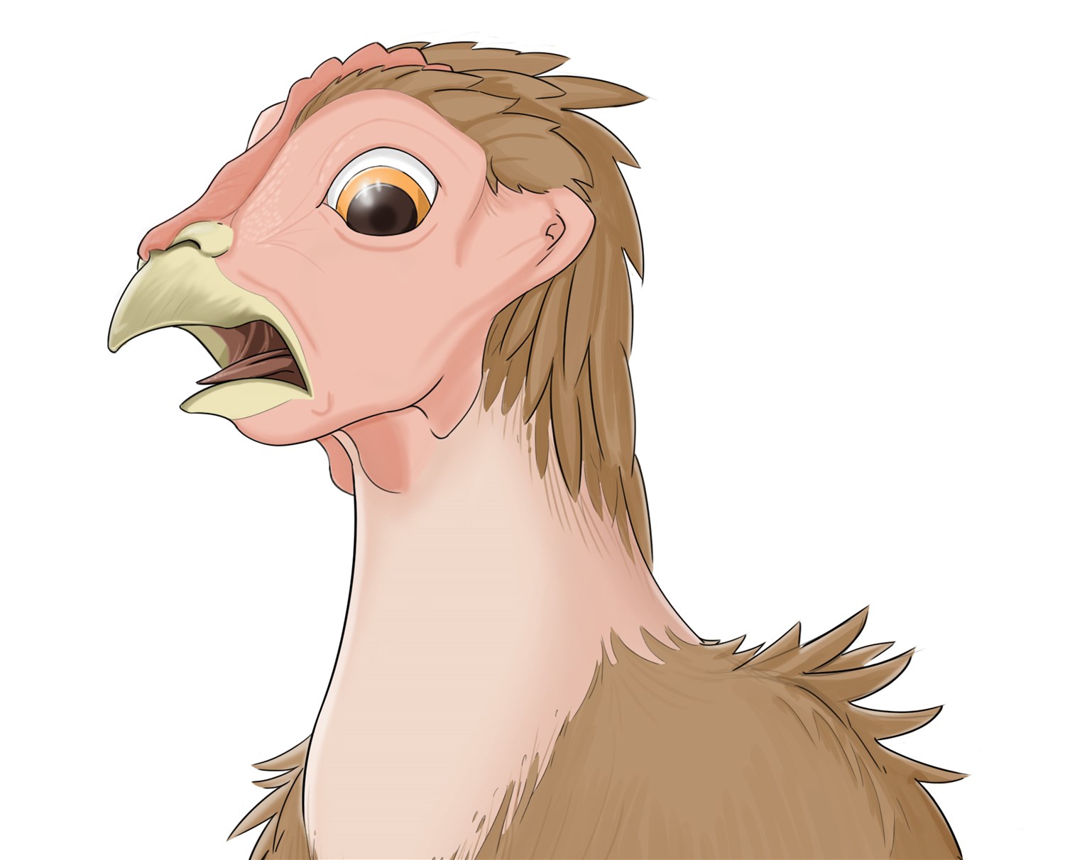 Chicken feed by KrazyIvan