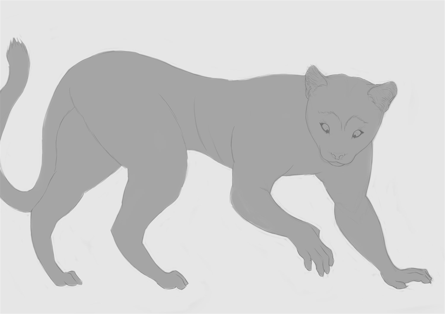 Puma to Anthro Commission by KrazyIvan