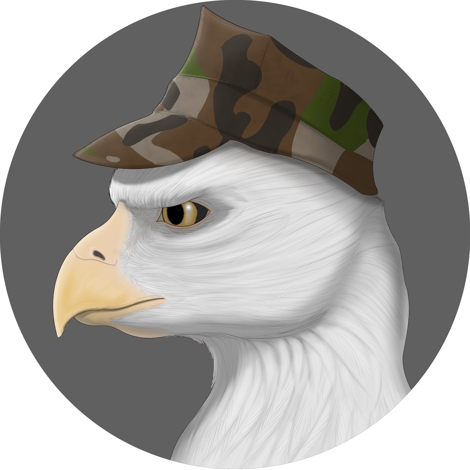 Headshots by KrazyIvan