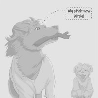 Sequence Image 2