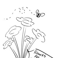 Sequence Image 2