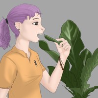 Sequence Image 5