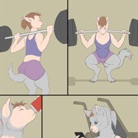 Sequence Image 4