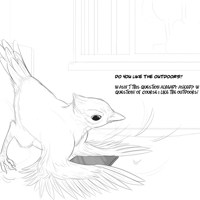 Sequence Image 8