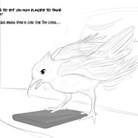 Sequence Image 9