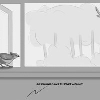 Sequence Image 12