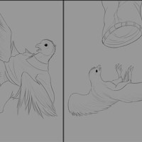 Sequence Image 2