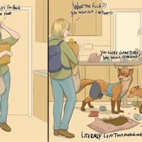 Sequence Image 6