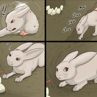 Sequence Image 4