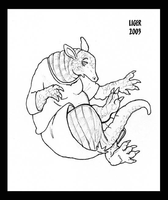 armidillo by Liger