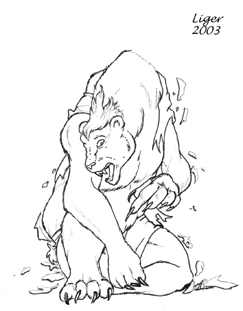 bear by Liger