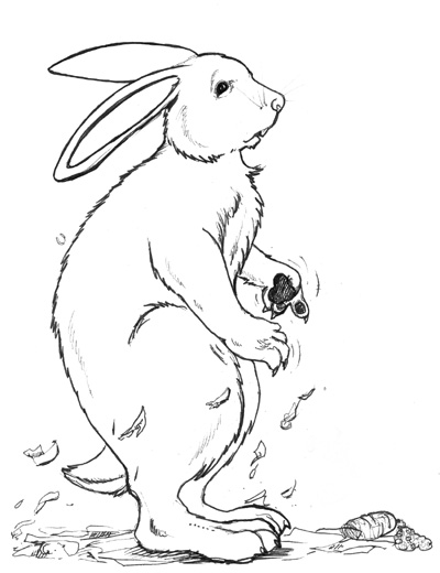 bunny by Liger