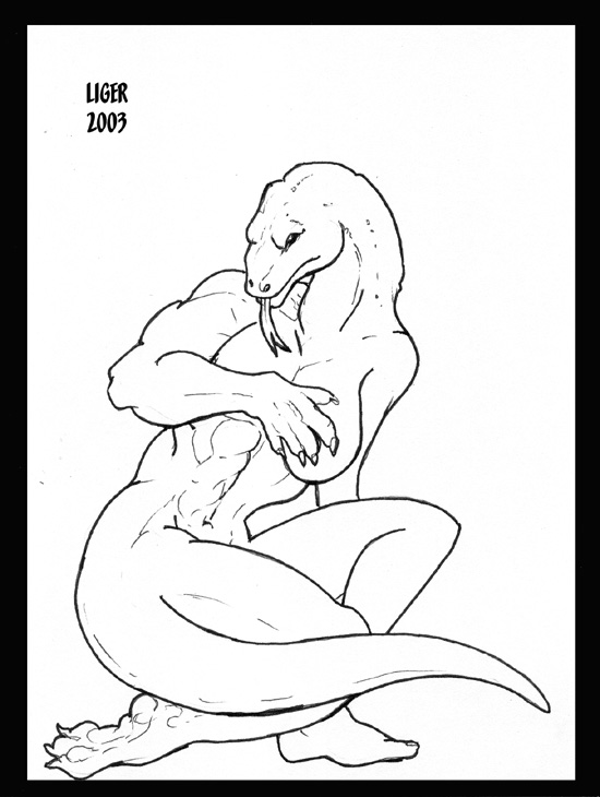 kimodo by Liger