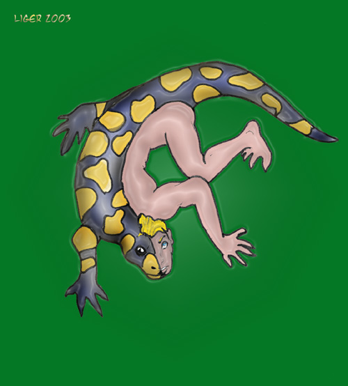 newt by Liger