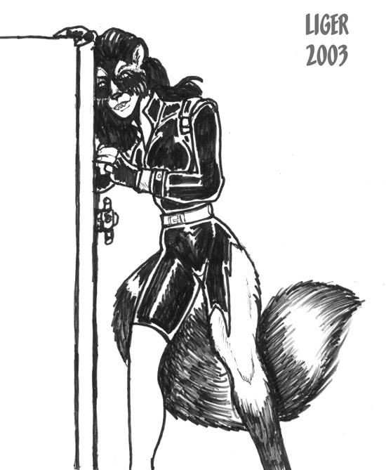raccoon by Liger