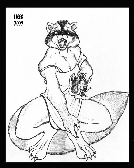 raccoon by Liger