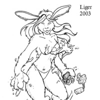 Sequence Image 3