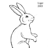 Sequence Image 6