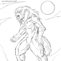 Sequence Image 6