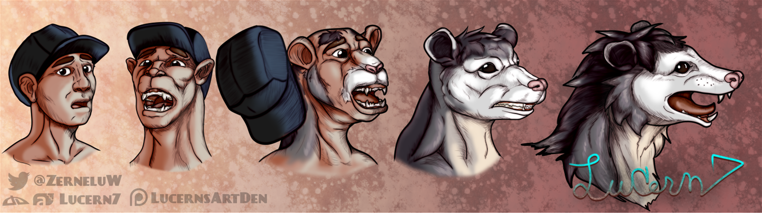 Headshot Commission: Opossum by Lucern7