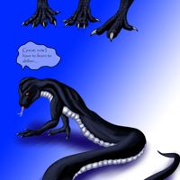 Sequence Image 5