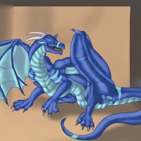 Sequence Image 5