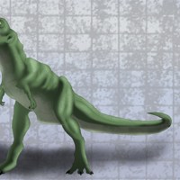 Sequence Image 5
