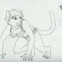 Sequence Image 3