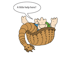Sequence Image 7