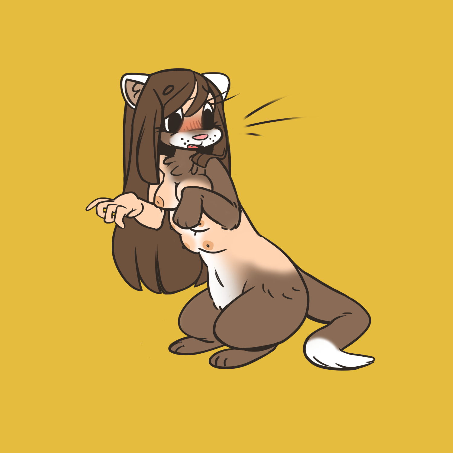 ferret by NNBTK