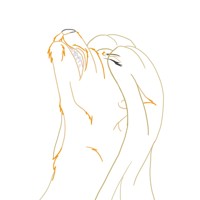 Sequence Image 2