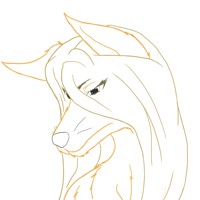 Sequence Image 3