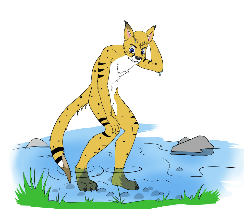 River Otter by Oter