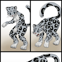 Sequence Image 6
