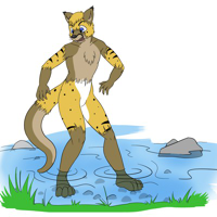 Sequence Image 2