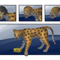 Sequence Image 5