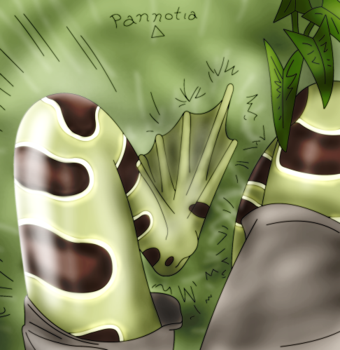 Whoops! Frog Legs by Pannotia