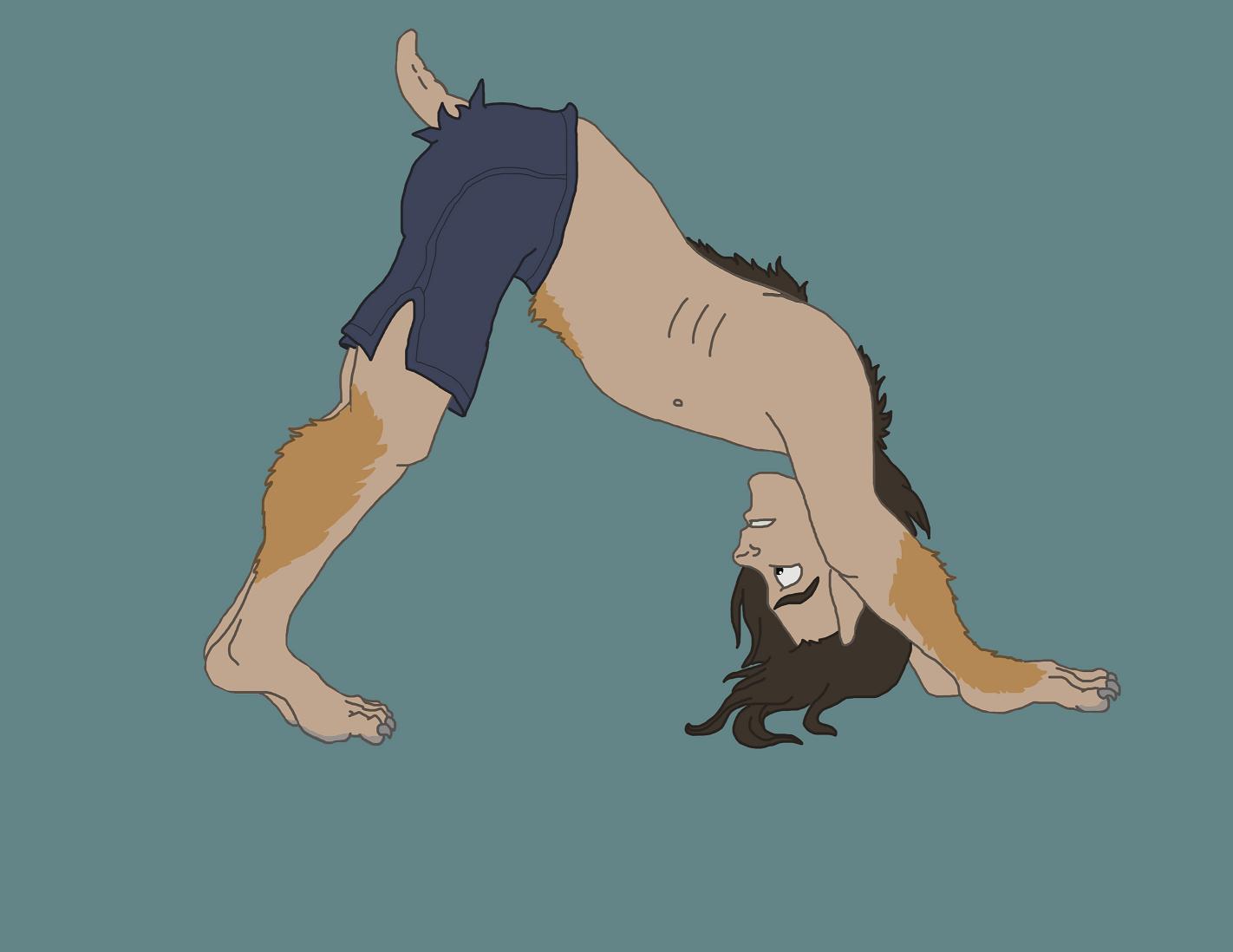 yogadog by PedestrianWolf