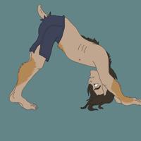 yogadog by PedestrianWolf