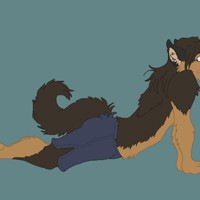 Sequence Image 2