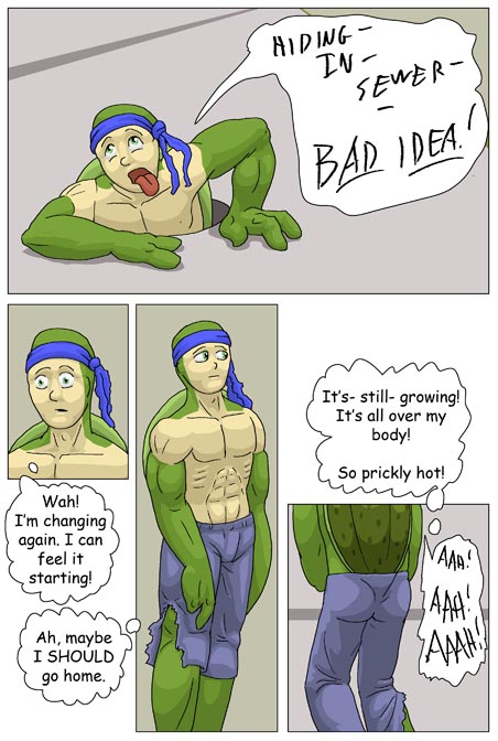 Subject To Change: Turtle Fan by PickleJuice
