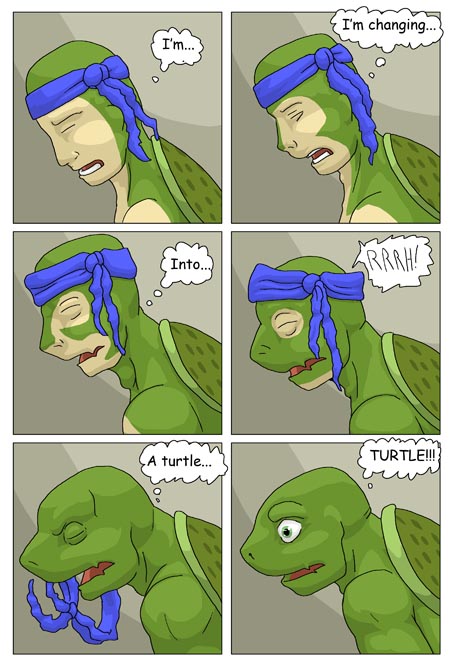 Subject To Change: Turtle Fan by PickleJuice