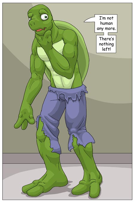 Subject To Change: Turtle Fan by PickleJuice