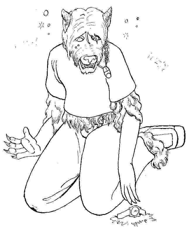 briard by PickleJuice