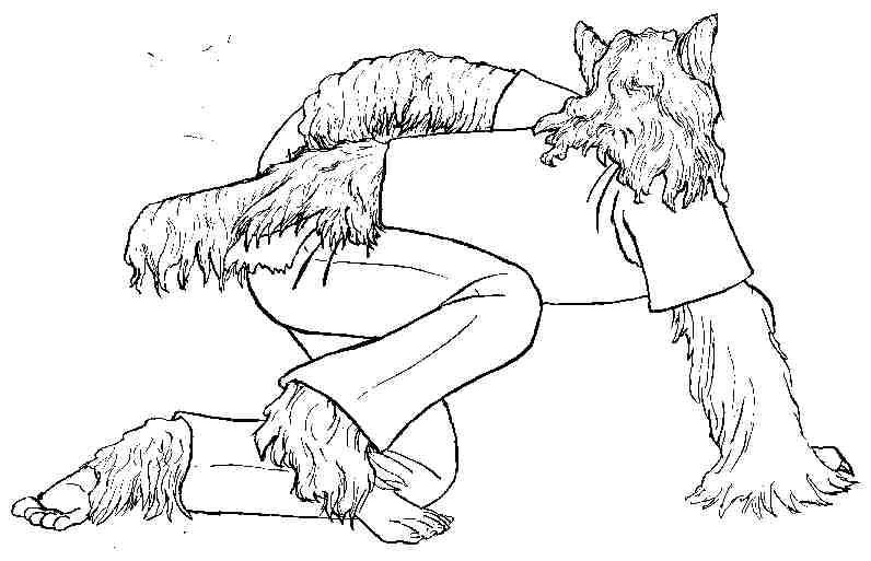 briard by PickleJuice